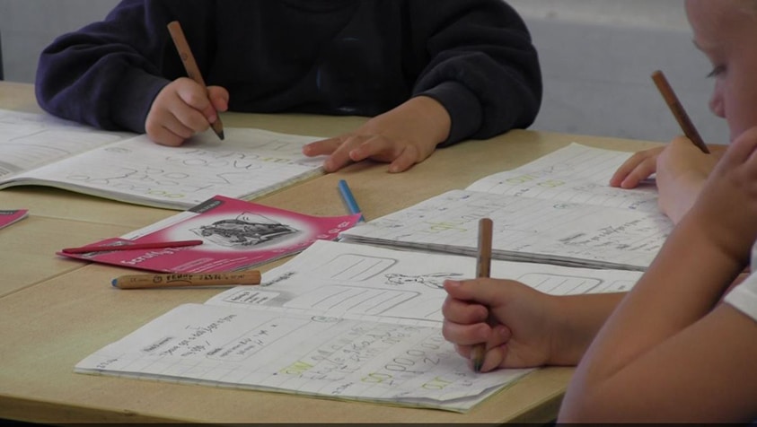 Primary Pupils Working